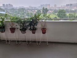 Blk 426 Clementi Avenue 3 (Clementi), HDB 3 Rooms #544965821
